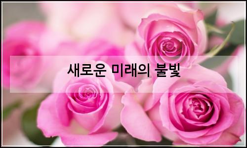 오늘의 이미지