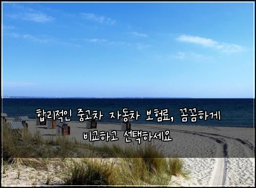  합리적인 중고차 자동차 보험료, 꼼꼼하게 비교하고 선택하세요