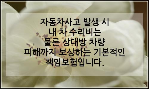 오늘의 이미지