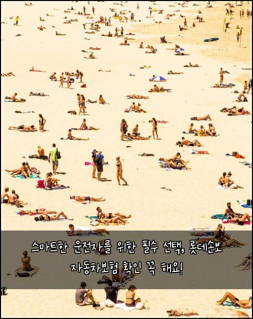  스마트한 운전자를 위한 필수 선택, 롯데손보 자동차보험 확인 꼭 해요!