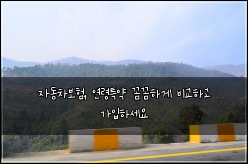 자동차보험, 연령특약 꼼꼼하게 비교하고 가입하세요