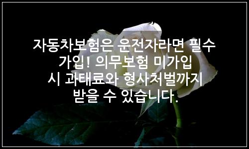 오늘의 이미지