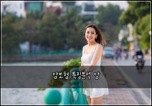 암보험 특징분석  암