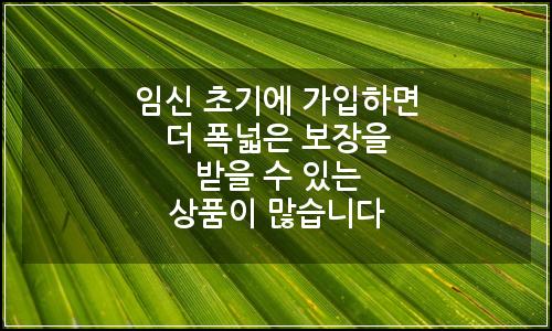 오늘의 이미지
