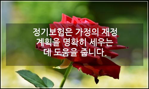 오늘의 이미지