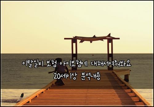 이탈실비 보험 아이보험에 대해서여줘봐요 20세이상 분석내용