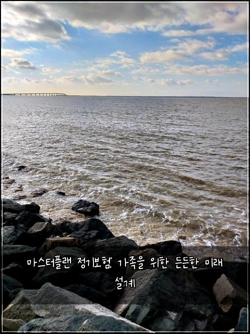 마스터플랜 정기보험: 가족을 위한 든든한 미래 설계