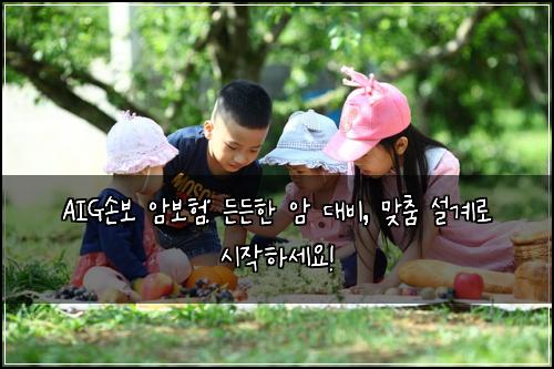  AIG손보 암보험: 든든한 암 대비, 맞춤 설계로 시작하세요!