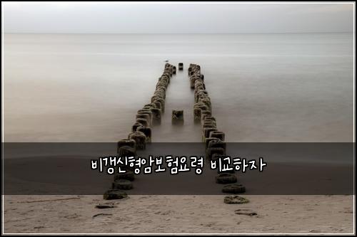 ๋น๊ฐฑ์ ํ์๋ณดํ์๋ น ๋น๊ตํ์