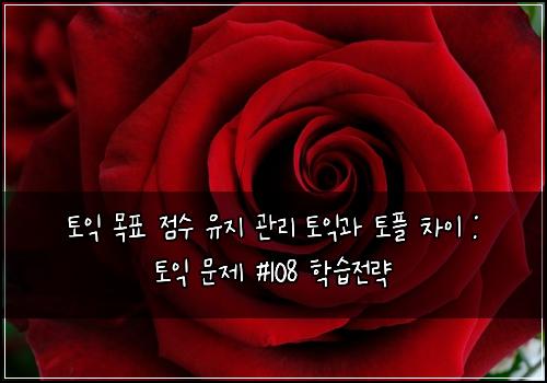 오늘의 이미지