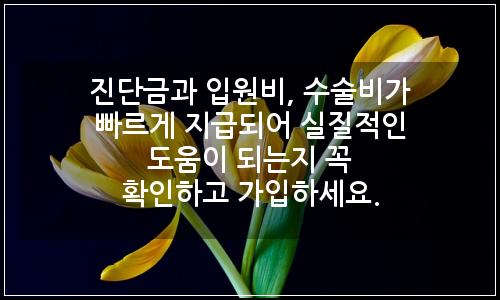오늘의 이미지