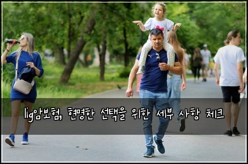 lig암보험, 현명한 선택을 위한 세부 사항 체크