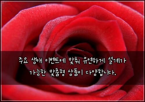 주요 생애 이벤트에 맞춰 유연하게 설계가 가능한 맞춤형 상품이 다양합니다.