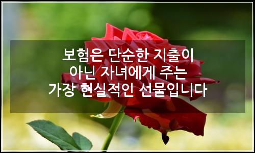 오늘의 이미지