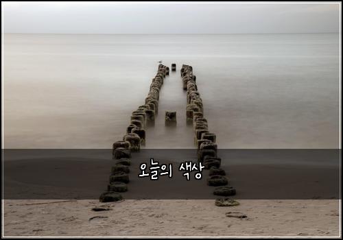 오늘의 색상