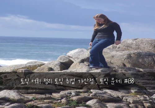 토익 어휘 정리 토익 취업 가산점 : 토익 문제 #138