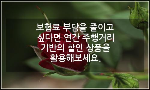 오늘의 이미지