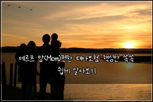 메르츠 맘(Mom)편한 태아보험: 핵심만 쏙쏙 쉽게 알아보기