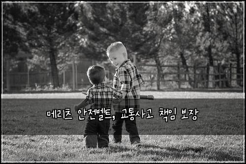 메리츠 안전벨트, 교통사고 책임 보장