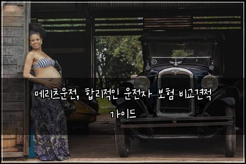 메리츠운전, 합리적인 운전자 보험 비교견적 가이드