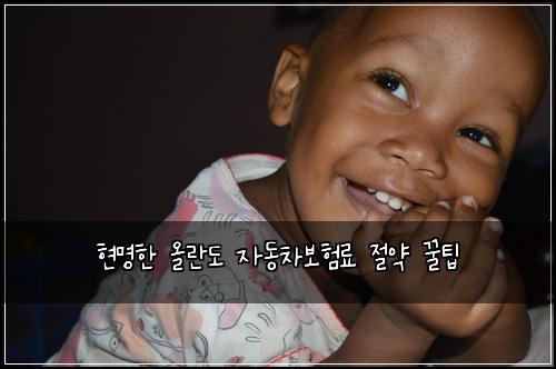  현명한 올란도 자동차보험료 절약 꿀팁