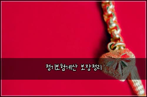 정기보험계산 보장정리