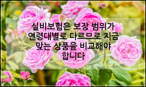 오늘의 이미지