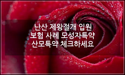 오늘의 이미지