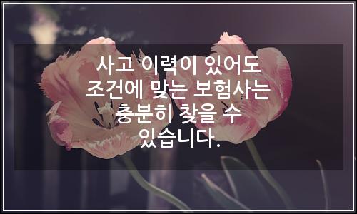 오늘의 이미지