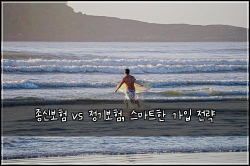 종신보험 vs 정기보험, 스마트한 가입 전략