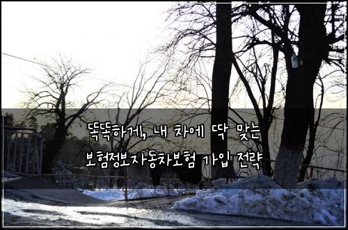  똑똑하게, 내 차에 딱 맞는 보험정보자동차보험 가입 전략