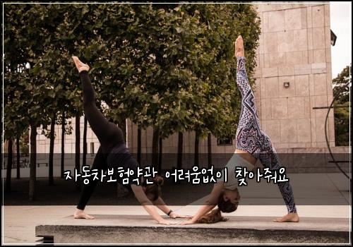 μλ차보νμ½κ΄ μ΄λ €μμμ΄ μ°Ύμμ€μ