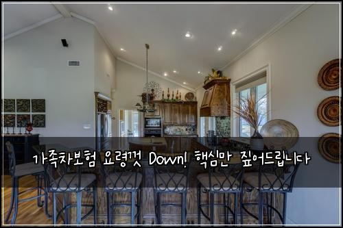 가족차보험 요령껏 Down! 핵심만 짚어드립니다