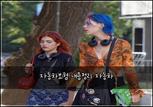 자동차보험 내용정리  자동차