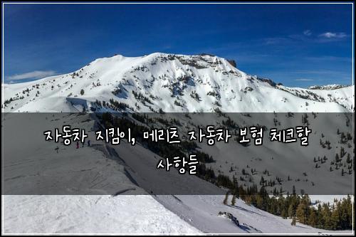 자동차 지킴이, 메리츠 자동차 보험 체크할 사항들