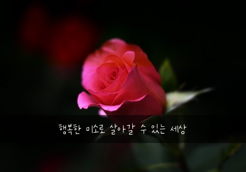 행복한 미소로 살아갈 수 있는 세상