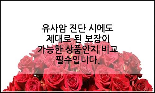 오늘의 이미지