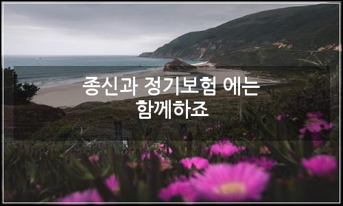 오늘의 이미지
