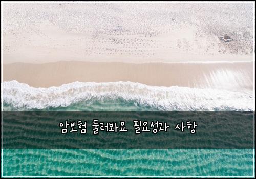 암보험 둘러봐요  필요성과 사항