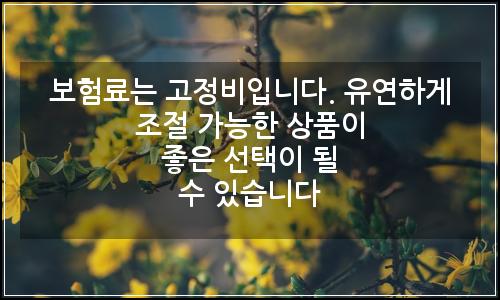 오늘의 이미지