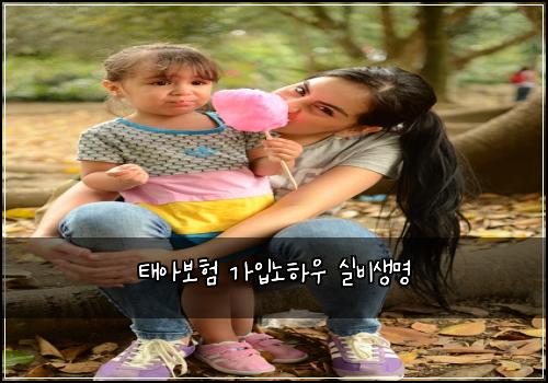 태아보험 가입노하우  실비생명
