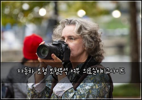 자동차 보험 보험분석  여부 의료실비비교사이트