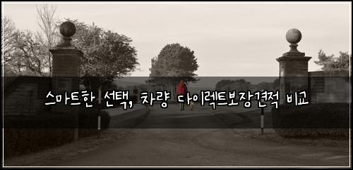 스마트한 선택, 차량 다이렉트보장견적 비교