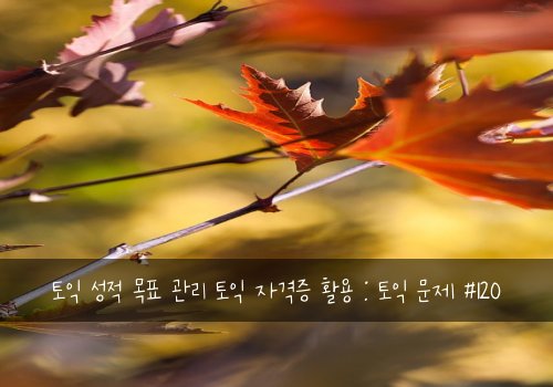 토익 성적 목표 관리 토익 자격증 활용 : 토익 문제 #120