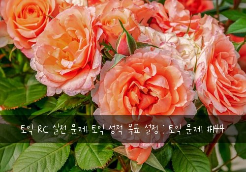 토익 RC 실전 문제 토익 성적 목표 설정 : 토익 문제 #144