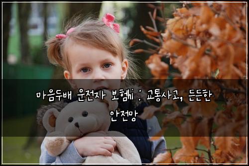 마음두배 운전자 보험hi : 교통사고, 든든한 안전망