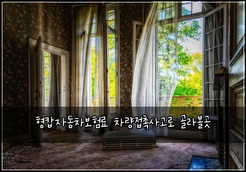 형캅자동차보험료 차량접촉사고로 골라볼곳
