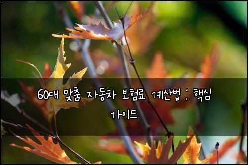 60대 맞춤 자동차 보험료 계산법 : 핵심 가이드