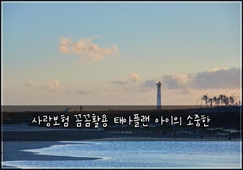 사랑보험 꼼꼼활용  태아플랜 아이의 소중한 