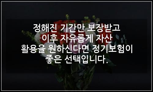 오늘의 이미지
